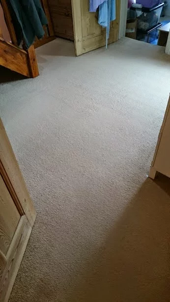 Carpet Clean Watford